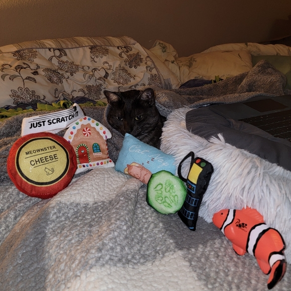 More cat toys ❤️ - Picture 5 of 6